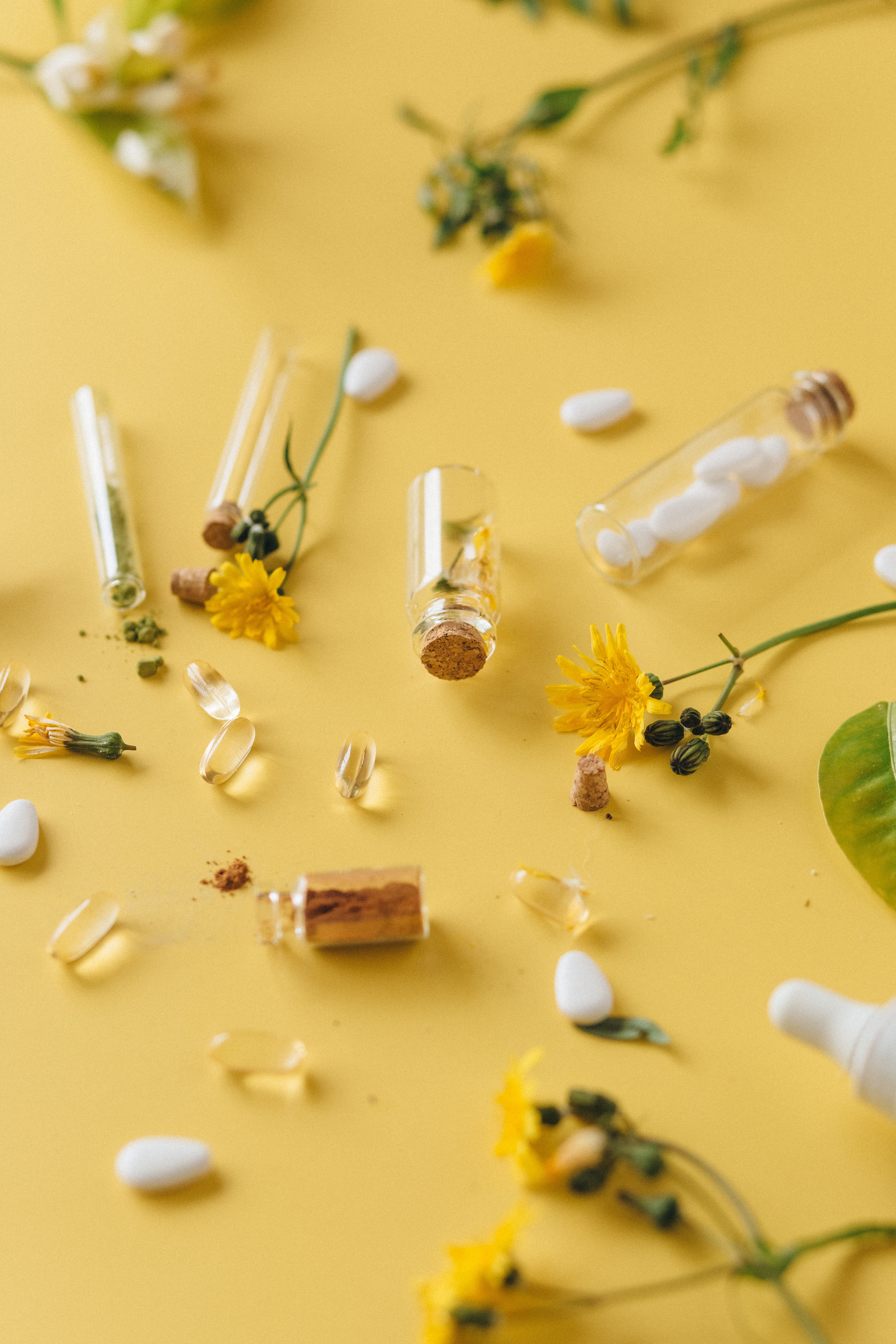 Aesthetic display of medicinal herbs and pharmaceutical capsules on a yellow background.